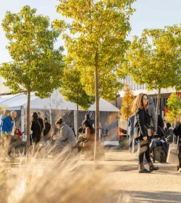 An eco-friendly event